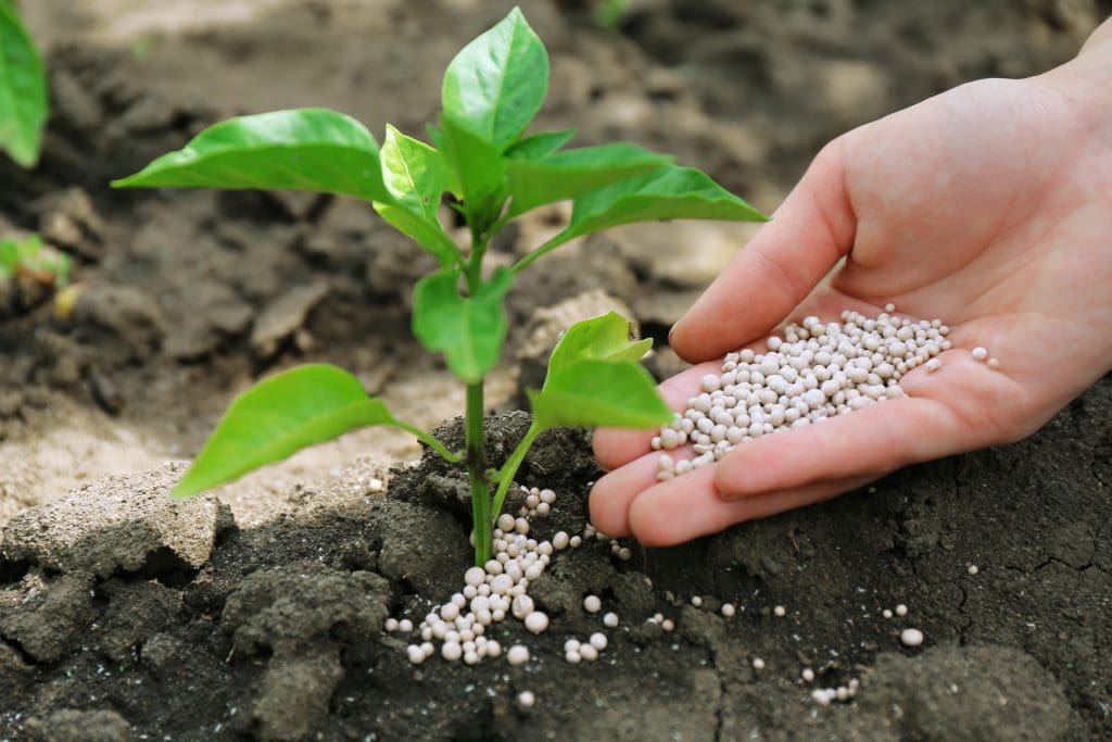 fertilizer