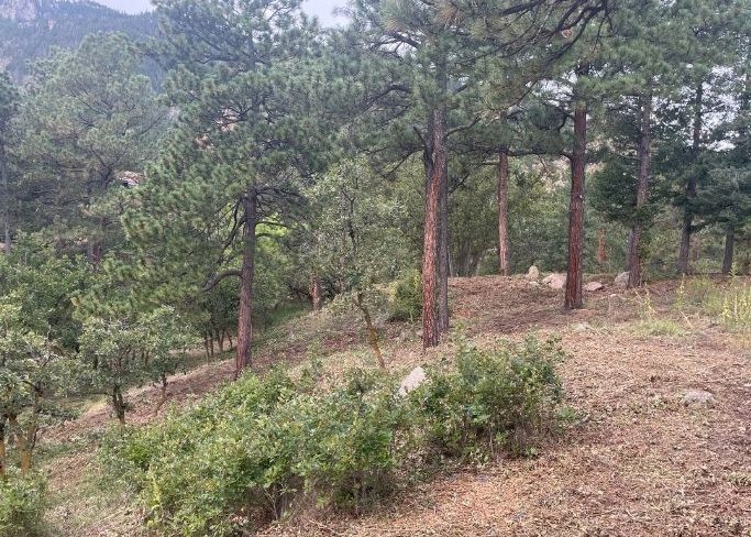 Fire Mitigation After