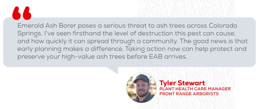 "Emerald Ash Borer poses a serios treat to ash trees across Colorado Springs. I've seen firsthand the level of destruction this pest can cause, and how quickly it can spread through a community." Tyler Stewart, Plant Health Care Manager, Front Range Arborists