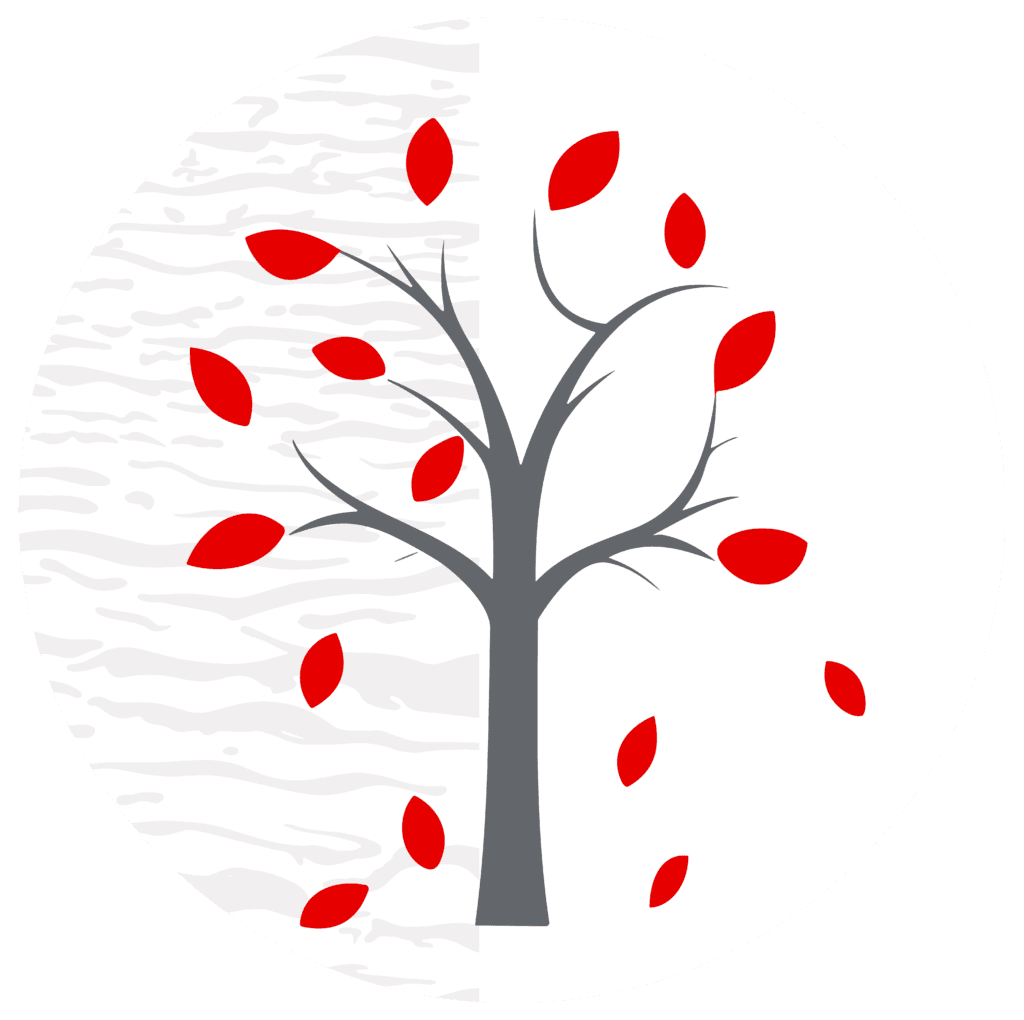 Fall Season Tree