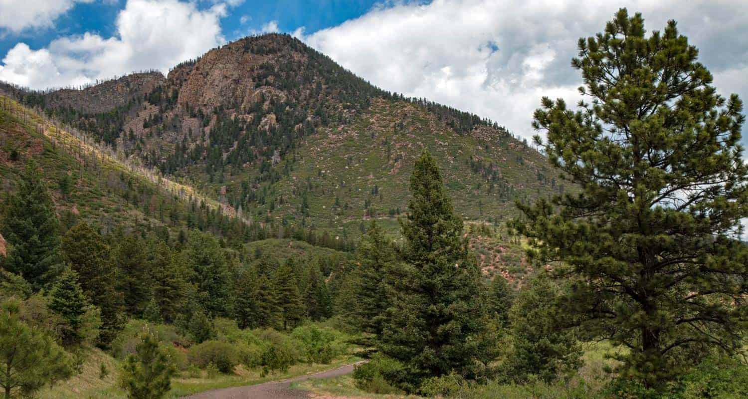 Challenges Of High Altitude Tree Care In Colorado Springs