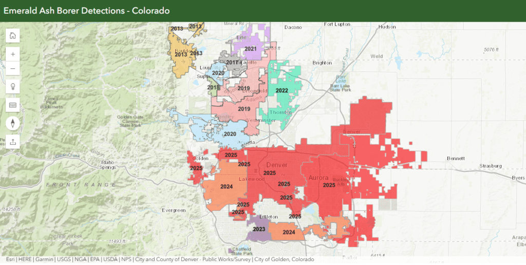 Colorado State Forest Service’s interactive Emerald Ash Borer detection map